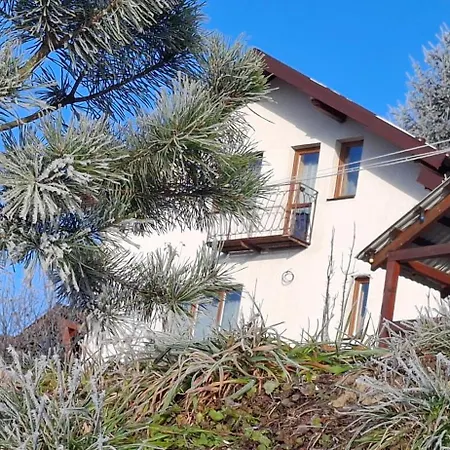 біля лісу з двома спальнями Slavske