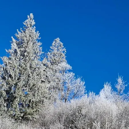 біля лісу з двома спальнями Dağ evi